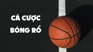 Hướng Dẫn Tìm Hiểu Cá Cược Bóng Rổ FFOK Từ Cơ Bản Đến Nâng Cao