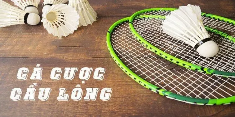 Chuyên Gia Hướng Dẫn Cách Chơi Cá Cược Cầu Lông Tại FFOK