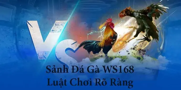 Bật Mí Cách Chơi Đá Gà WS168 Tại FFOK Từ Các Chuyên Gia Hàng Đầu