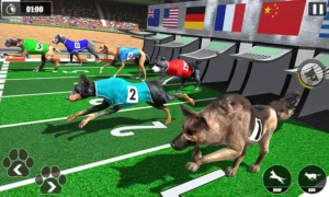 Bí Quyết Chơi Game Nhanh Đua Chó Tại FFOK Bất Bại Mọi Ván Cược