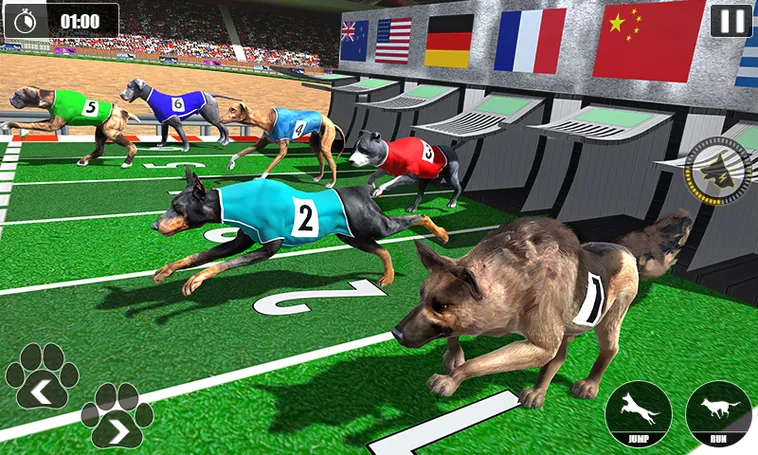 Bí Quyết Chơi Game Nhanh Đua Chó Tại FFOK Bất Bại Mọi Ván Cược