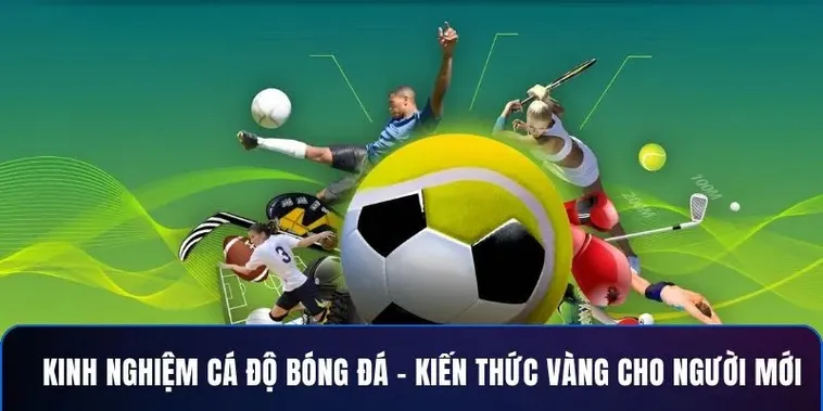 Tìm Hiểu Cá Cược Bóng Đá FFOK Chuyên Sâu Cho Người Mới Bắt Đầu 2 Tìm Hiểu Cá Cược Bóng Đá FFOK Chuyên Sâu Cho Người Mới Bắt Đầu